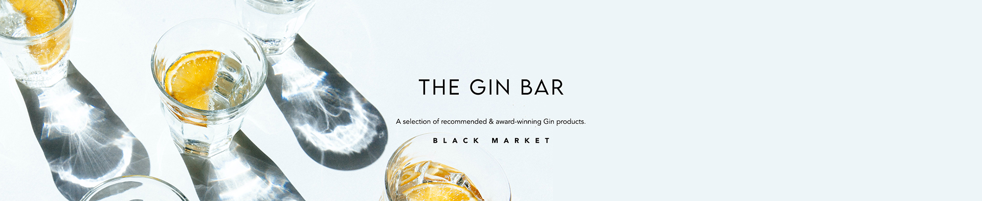 The Gin Bar Banner