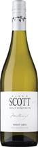 Allan Scott Marlborough Pinot Gris 2024