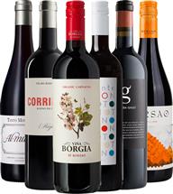 Welcome to Spain - Red Wine Collection (Spain)