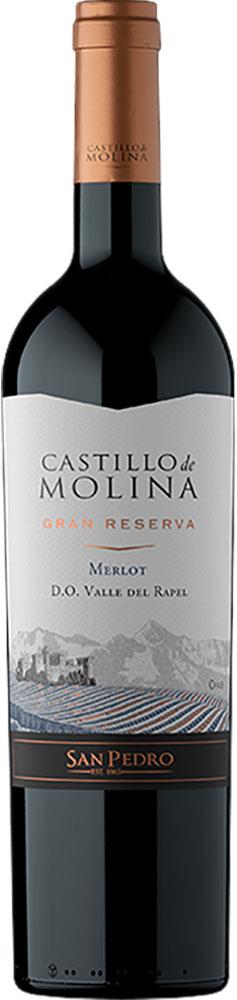 Castillo De Molina Gran Reserva Merlot 2021 (Chile)
